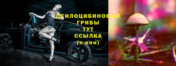 гашик Баксан