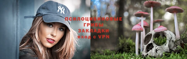 гашик Баксан