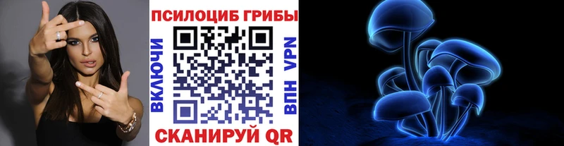 kraken онион  Лаишево  Галлюциногенные грибы Cubensis 